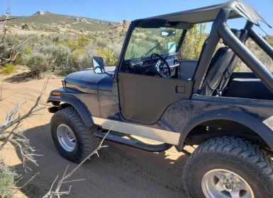 Achat Jeep CJ5 Occasion