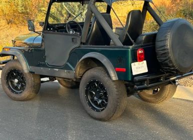 Vente Jeep CJ5 Occasion