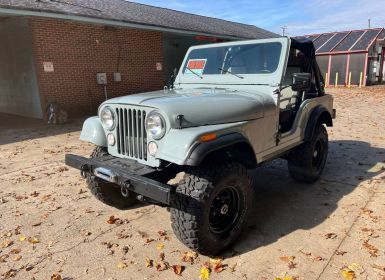 Achat Jeep CJ5 Occasion