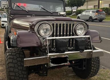 Achat Jeep CJ5 Occasion