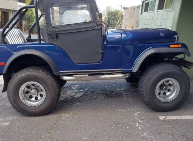 Vente Jeep CJ5 Occasion