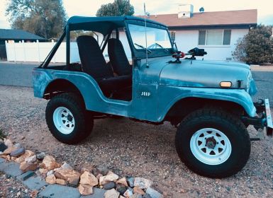 Vente Jeep CJ5 Occasion