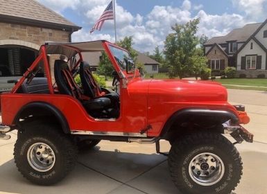 Achat Jeep CJ5 CJ  Occasion