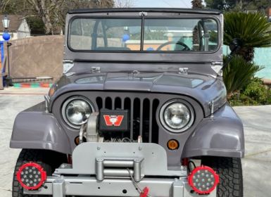 Achat Jeep CJ5 CJ  Occasion