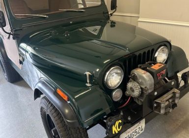 Achat Jeep CJ5 CJ  Occasion