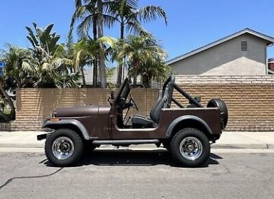 Achat Jeep CJ5 CJ  Occasion