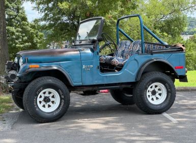 Achat Jeep CJ5 CJ  Occasion