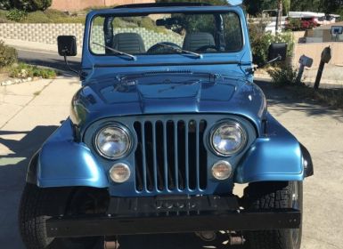 Achat Jeep CJ5 CJ  Occasion