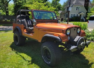 Achat Jeep CJ5 CJ  Occasion