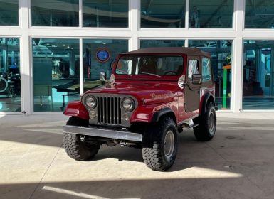 Achat Jeep CJ5 CJ  Occasion