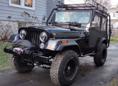 Achat Jeep CJ5 CJ  Occasion