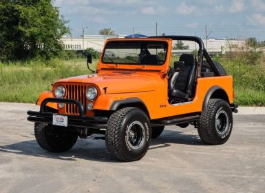 Achat Jeep CJ5 CJ  Occasion