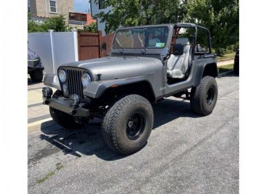 Achat Jeep CJ5 CJ  Occasion