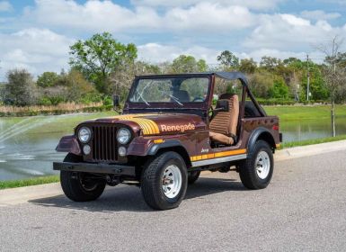 Achat Jeep CJ5 CJ  Occasion