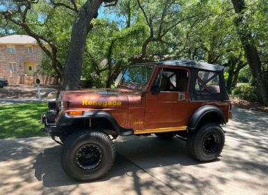 Achat Jeep CJ5 CJ  Occasion