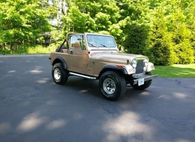 Vente Jeep CJ5 CJ  Occasion