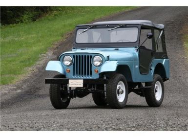 Achat Jeep CJ5 CJ  Occasion