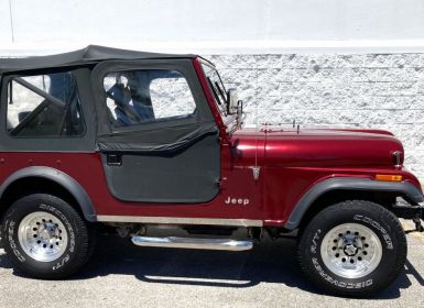 Achat Jeep CJ5 CJ  Occasion