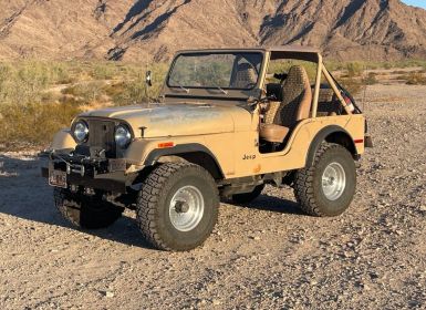 Achat Jeep CJ5 CJ  Occasion