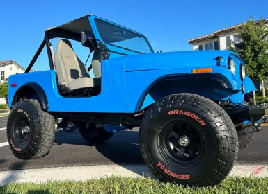 Achat Jeep CJ5 CJ  Occasion