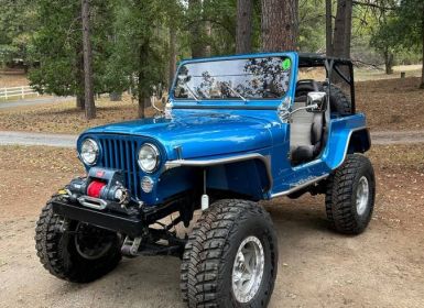 Achat Jeep CJ5 Cj  Occasion