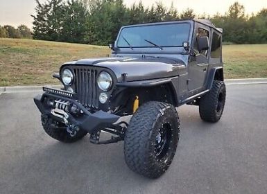 Achat Jeep CJ5 CJ  Occasion