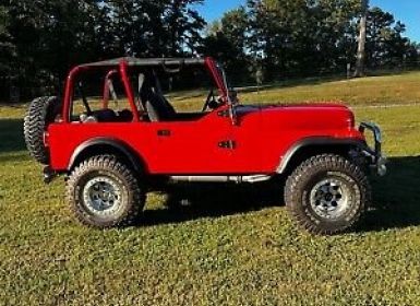 Achat Jeep CJ5 CJ  Occasion