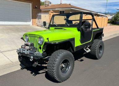 Achat Jeep CJ5 Cj  Occasion