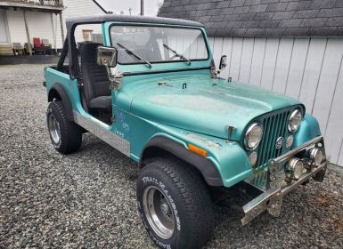 Vente Jeep CJ5 CJ  Occasion