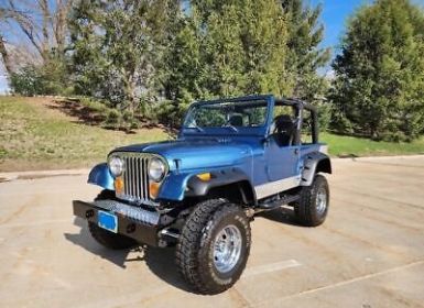 Achat Jeep CJ5 CJ  Occasion