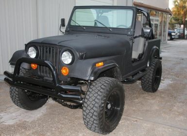 Vente Jeep CJ5 CJ  Neuf