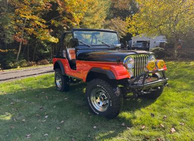 Achat Jeep CJ5 CJ  Occasion