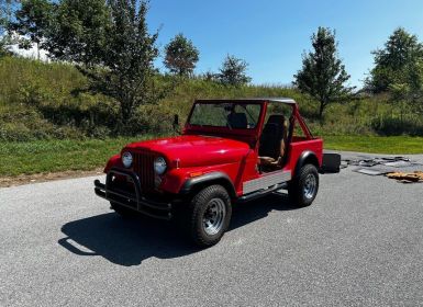 Vente Jeep CJ5 CJ  Neuf