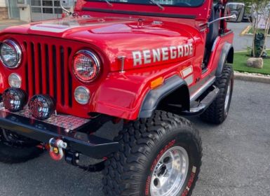 Vente Jeep CJ5 CJ  Occasion