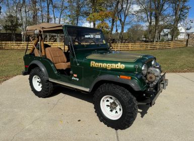 Jeep CJ5 CJ  Occasion