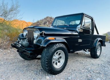 Achat Jeep CJ5 CJ  Occasion