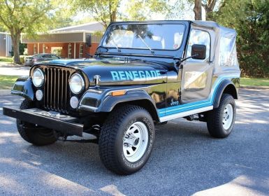 Achat Jeep CJ5 CJ  Occasion