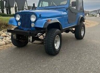 Achat Jeep CJ5 CJ  Occasion