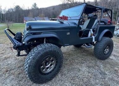 Vente Jeep CJ5 CJ  Occasion