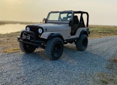 Achat Jeep CJ5 CJ  Occasion