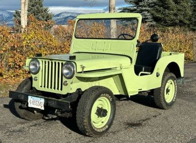 Achat Jeep CJ5 Cj-3a  Occasion