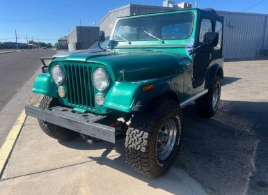 Achat Jeep CJ5 Cj-5  Occasion