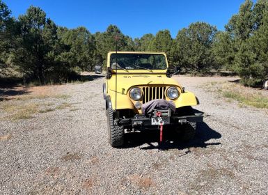 Achat Jeep CJ5 Cj 5  Occasion