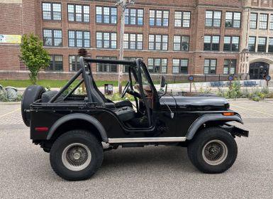 Achat Jeep CJ5 Cj-5  Occasion