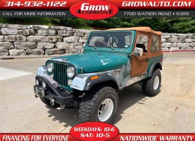 Achat Jeep CJ7 Occasion