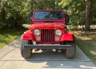 Achat Jeep CJ7 Occasion