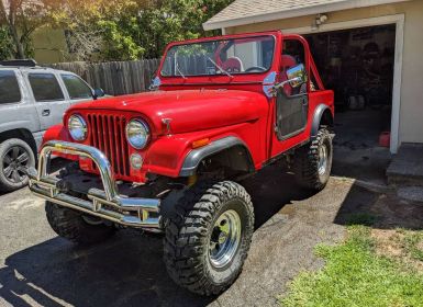 Achat Jeep CJ7 Occasion