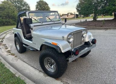 Achat Jeep CJ7 Occasion