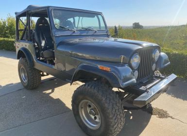 Achat Jeep CJ7 Occasion