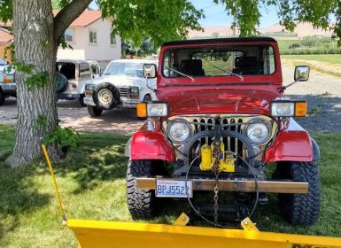 Achat Jeep CJ7 Occasion